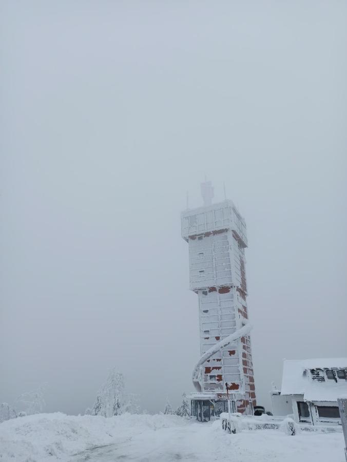 Walpurgis Hexe Apartment Braunlage Bagian luar foto