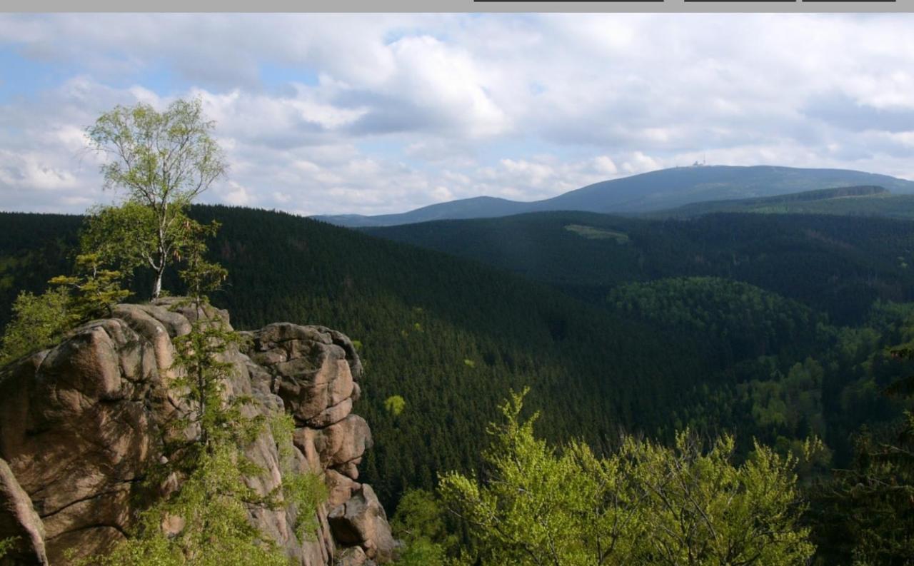 Walpurgis Hexe Apartment Braunlage Bagian luar foto