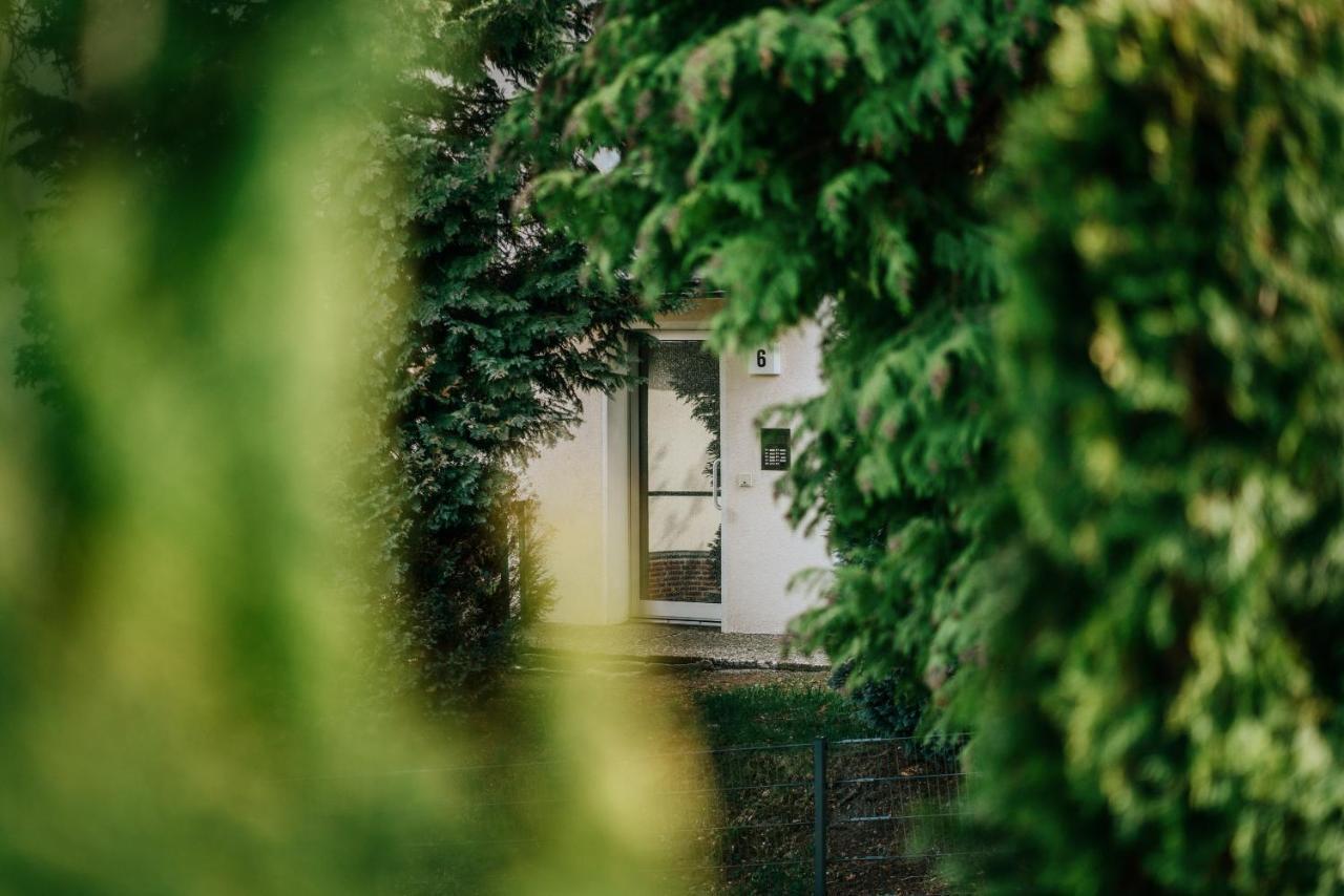 Walpurgis Hexe Apartment Braunlage Bagian luar foto