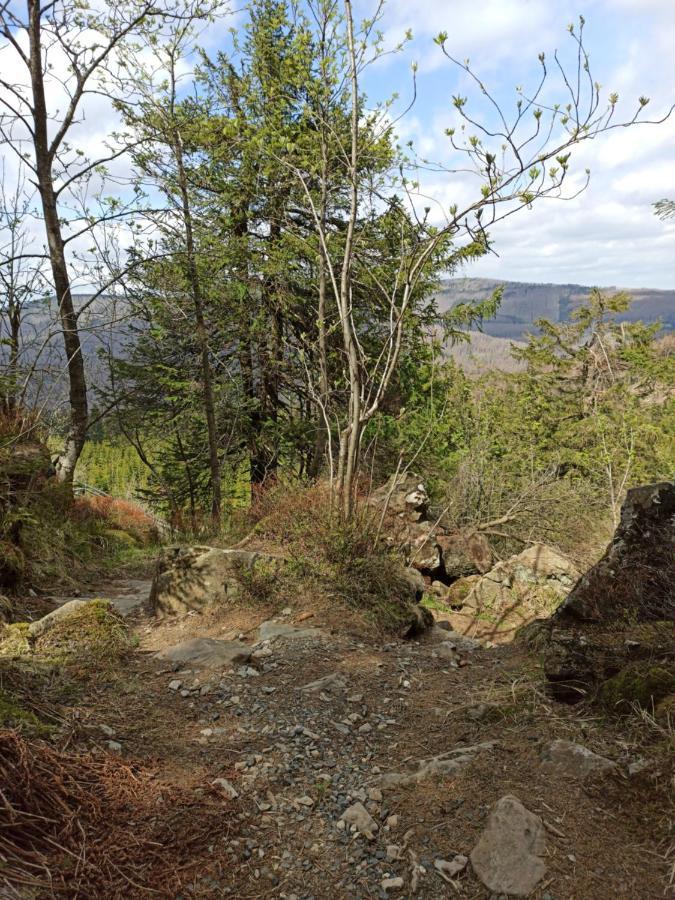 Walpurgis Hexe Apartment Braunlage Bagian luar foto